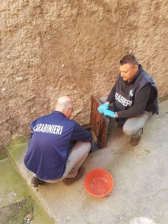 Tenta di disfarsi della cocaina gettandola nel water: i carabinieri la recuperano e lo arrestano