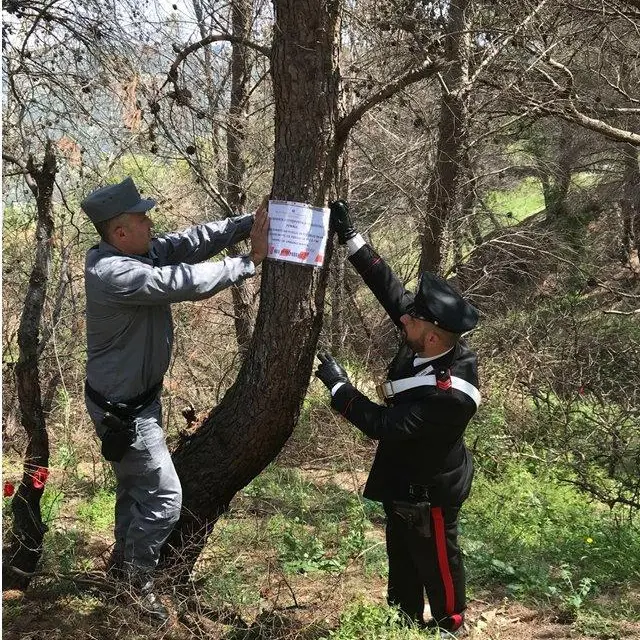 Alto Jonio, attività d’indagine sugli incendi boschivi. Sigilli dei carabinieri Forestali