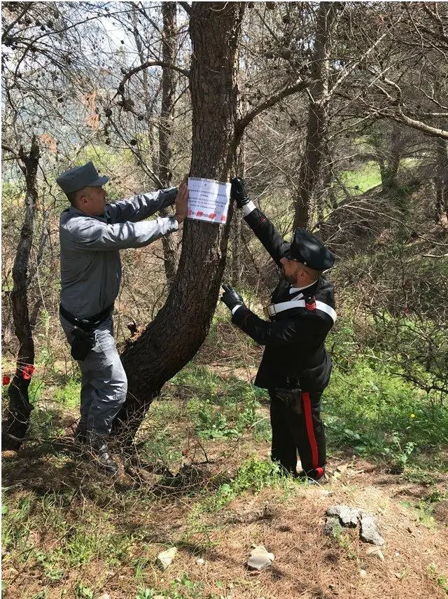 Alto Jonio, attività d’indagine sugli incendi boschivi. Sigilli dei carabinieri Forestali