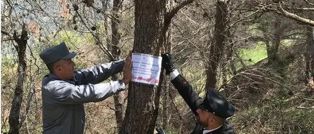 Alto Jonio, attività d’indagine sugli incendi boschivi. Sigilli dei carabinieri Forestali