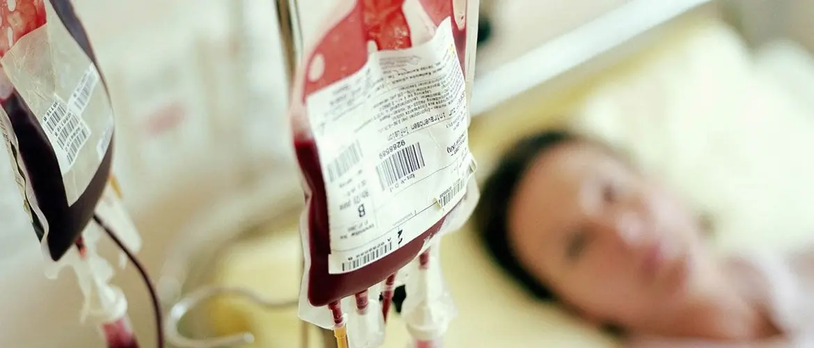Talassemia in Calabria, il presidente regionale di Fidas: «Trasfusioni fondamentali»