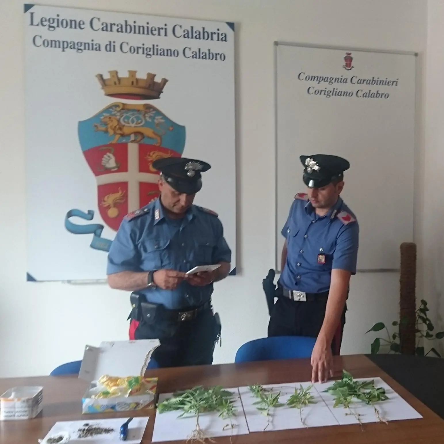 Corigliano-Rossano, arresti e denunce dei carabinieri nelle ultime 24 ore