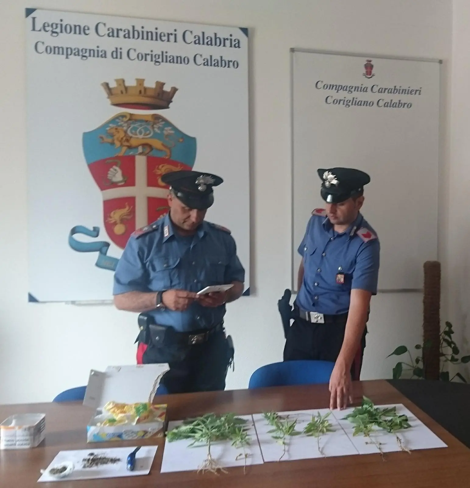 Corigliano-Rossano, arresti e denunce dei carabinieri nelle ultime 24 ore