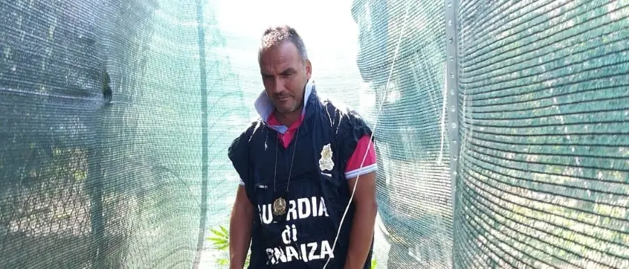 Scoperta coltivazione di canapa indiana: arrestato 40enne di Corigliano-Rossano