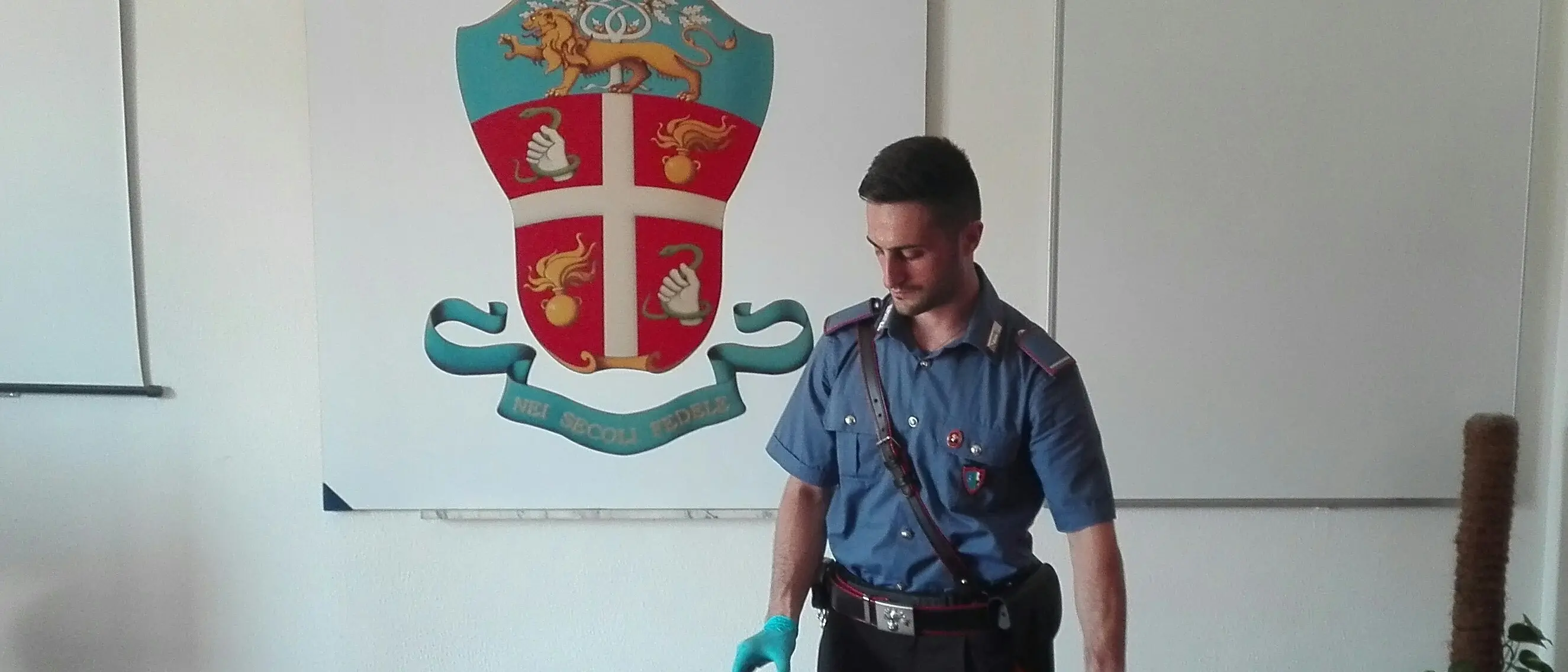 Furti e rapine in provincia di Cosenza, i carabinieri arrestano un 24enne