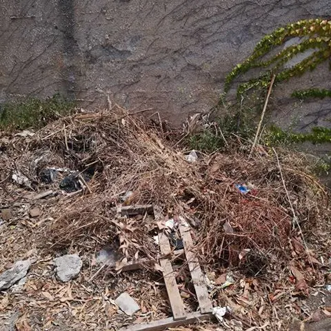 «Perché un turista dovrebbe venire a villeggiare a Fiumefreddo?» [FOTO]