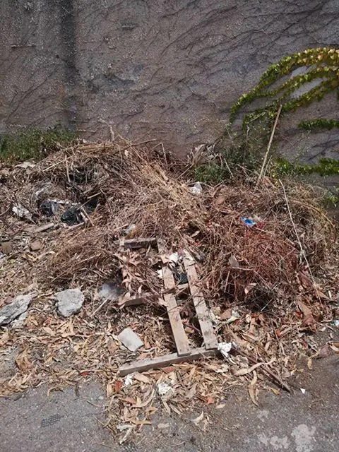 «Perché un turista dovrebbe venire a villeggiare a Fiumefreddo?» [FOTO]