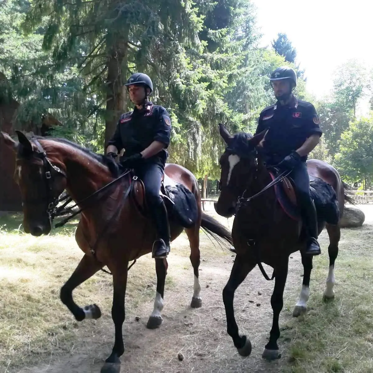 Carabinieri a cavallo per controllare il territorio: ecco le zone assegnate