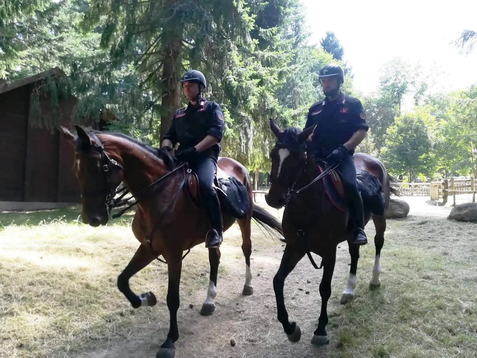 Carabinieri a cavallo per controllare il territorio: ecco le zone assegnate