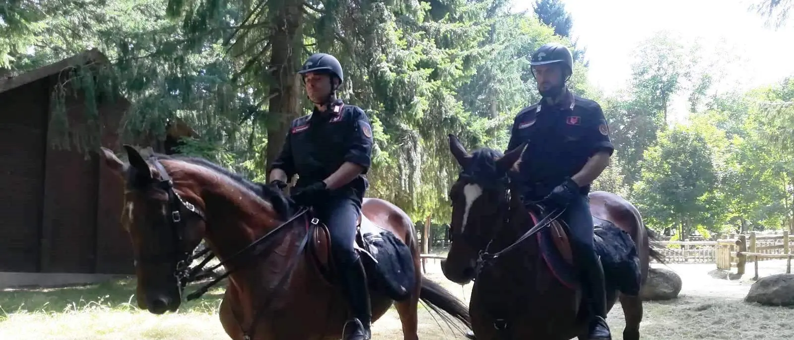 Carabinieri a cavallo per controllare il territorio: ecco le zone assegnate