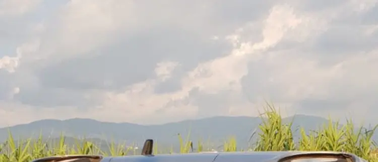 Auto sbanda e finisce fuori strada: illesi due giovani di Cosenza