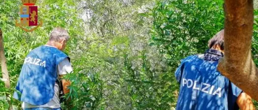 Spaccio di droga a Corigliano Rossano, arrestate quattro persone