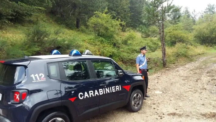 Si perde in Sila mentre raccoglie funghi: i carabinieri lo rintracciano
