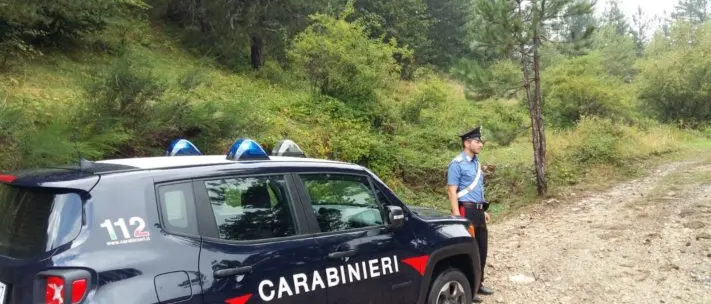 Si perde in Sila mentre raccoglie funghi: i carabinieri lo rintracciano