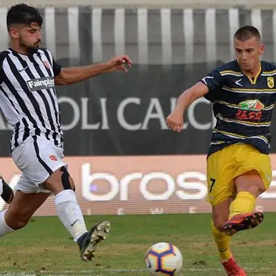 E' un Ascoli nuovo e ambizioso. Non ci sono solo Ardemagni e Ninkovic...