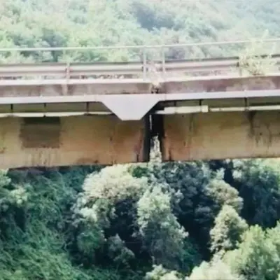 Ponte di San Fili, Anas rassicura: «Nessuna criticità»