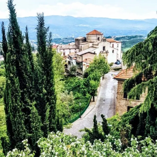 Bernaudo: «Rende rischia di dimenticare se stessa»