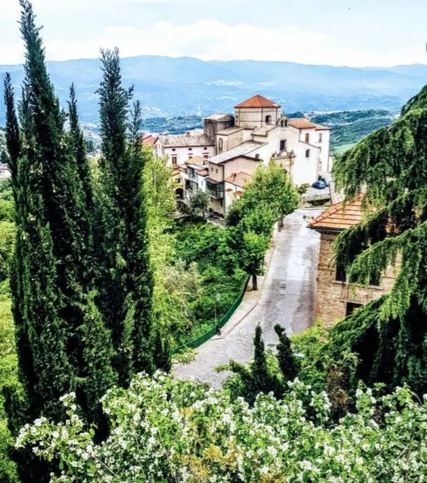 Bernaudo: «Rende rischia di dimenticare se stessa»