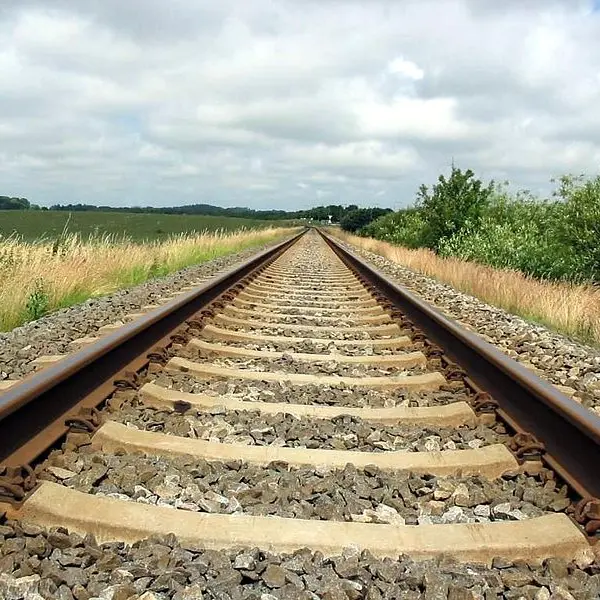 Ferrovie in Calabria, quel binario che non vuole morire