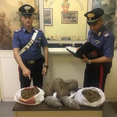 Rocca Imperiale, tre donne arrestate con circa 5 chili di marijuana