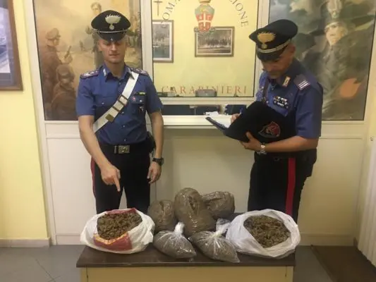 Rocca Imperiale, tre donne arrestate con circa 5 chili di marijuana