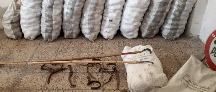 Furto di pigne ad Acquappesa, arrestate tre persone