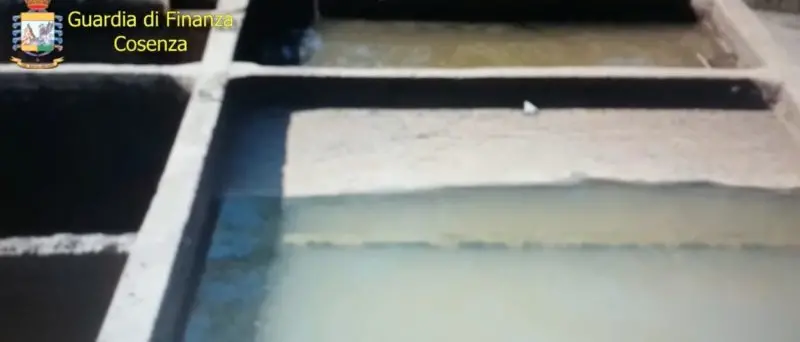 \"MERLINO\" | Terremoto a Fuscaldo, i nomi delle persone arrestate