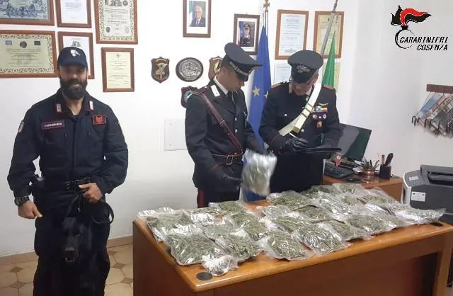Coppia di anziani spacciava marijuana. Scoperti e posti ai domiciliari
