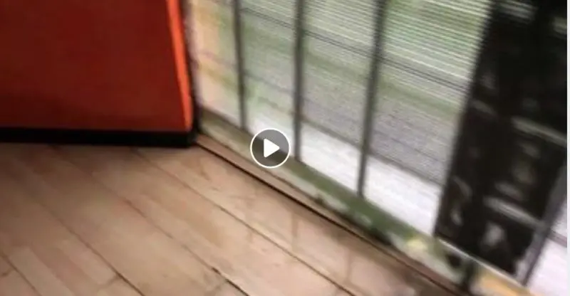 Rende, allagata scuola dell'infanzia: la denuncia di Miceli [VIDEO]