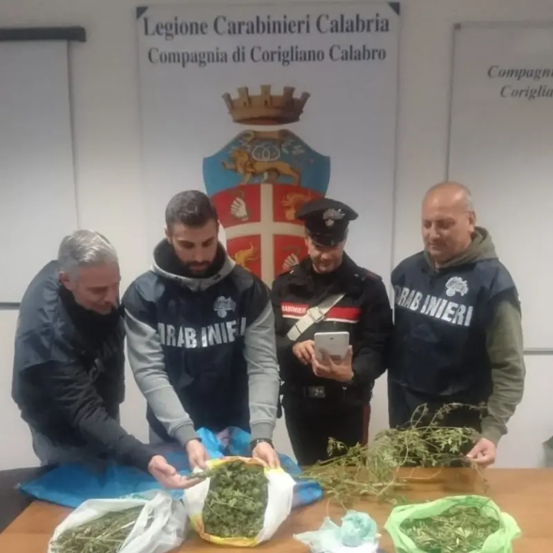 Famiglia gestiva il mercato della droga: i carabinieri arrestano 3 persone