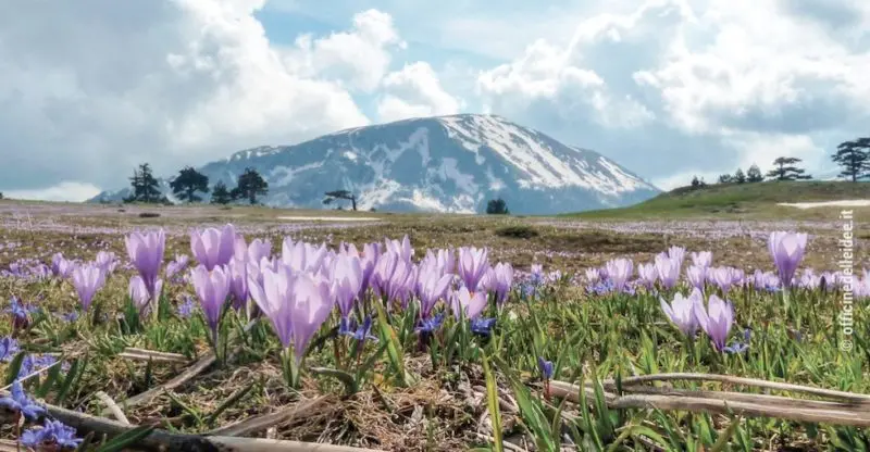 I sapori del Parco Nazionale del Pollino approdano a Eataly Bari