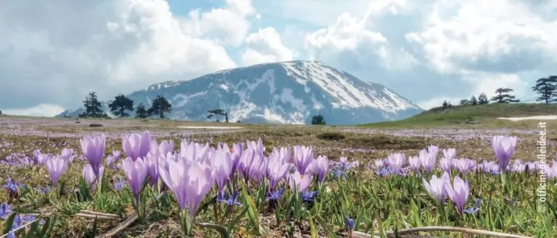 I sapori del Parco Nazionale del Pollino approdano a Eataly Bari