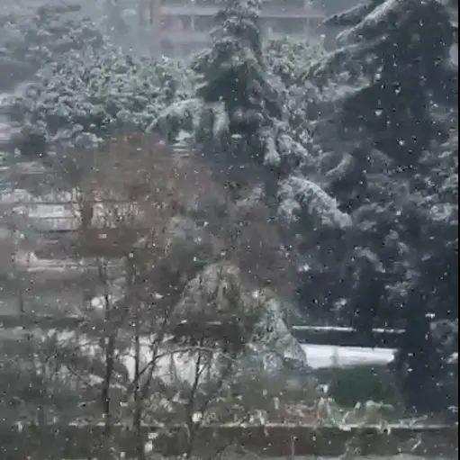 Maltempo, Cosenza e Rende sotto la neve. Ecco il video