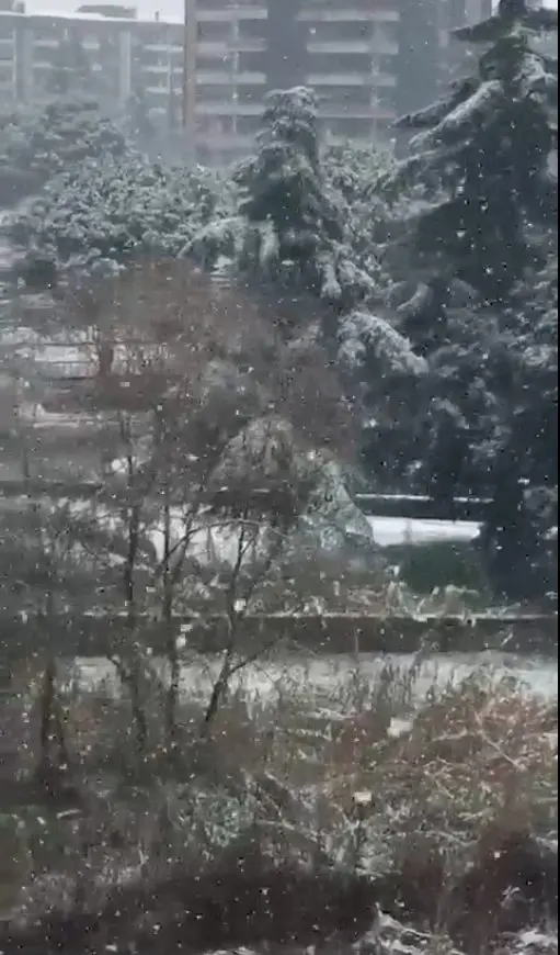 Maltempo, Cosenza e Rende sotto la neve. Ecco il video