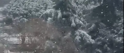 Maltempo, Cosenza e Rende sotto la neve. Ecco il video