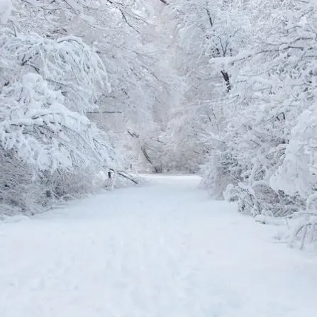 Neve al Nord. Tempo soleggiato in Calabria dopo la Befana
