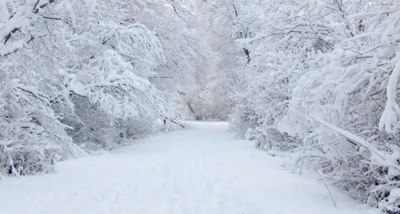 Meteo Cosenza, in Sila termometro a -12. In arrivo un'altra ondata di freddo e gelo\n