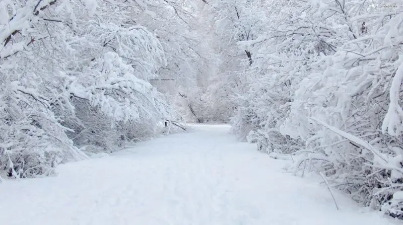 Venerdì 12 febbraio arriva la neve, poi il gelo: ecco dove