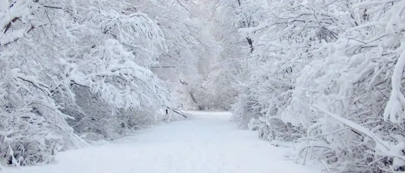 Venerdì 12 febbraio arriva la neve, poi il gelo: ecco dove