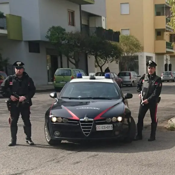 Si arrampica per sfuggire a un controllo dei carabinieri: arrestato
