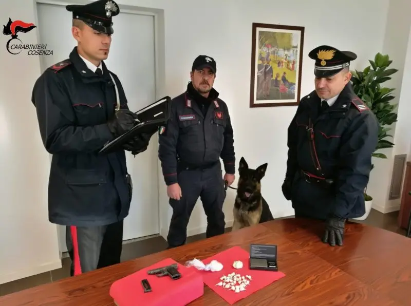 Spaccio di droga a Montalto, ecco cosa hanno scoperto i carabinieri