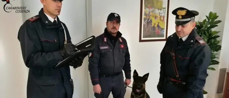 Spaccio di droga a Montalto, ecco cosa hanno scoperto i carabinieri