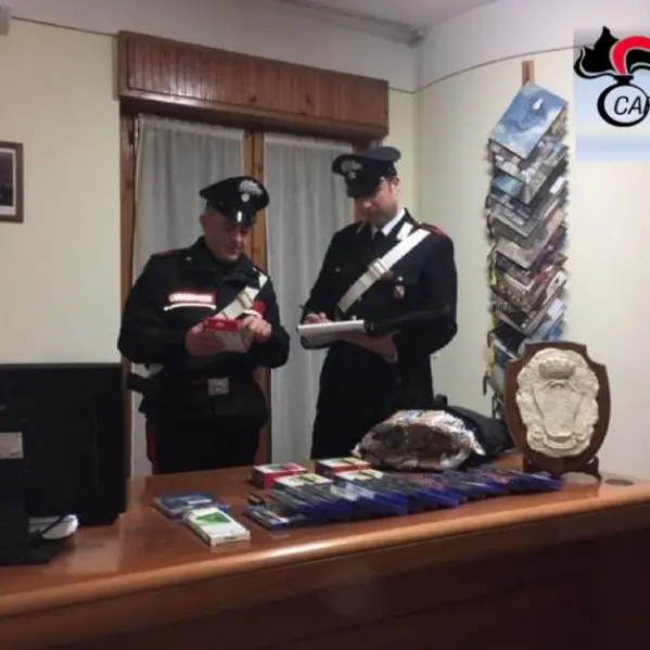 Rubano giochi della Playstation all'Unieuro di Scalea: arrestati