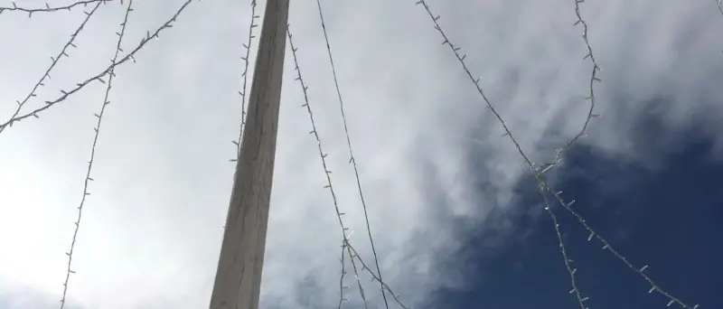 Cosenza, piazza Bilotti: parla Bianca Rende. Ecco la sua denuncia