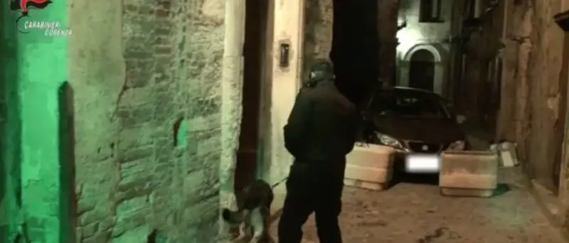 Operazione \"Alarico\", non solo droga: ecco tutte le armi ritrovate