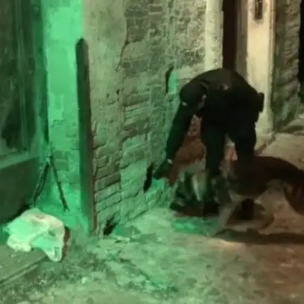 ALARICO | Droga ed estorsioni, 57 arresti a Cosenza [VIDEO]