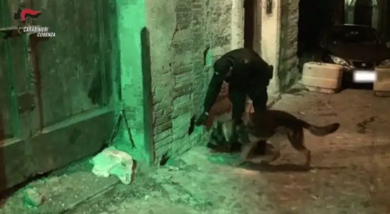 ALARICO | Spaccio di droga a Cosenza, scena muta degli indagati