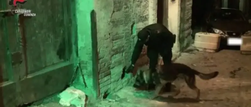 ALARICO | Spaccio di droga a Cosenza, scena muta degli indagati