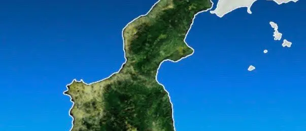 L'allarme della Giannuzzi: «In crisi gli agrumi calabresi»