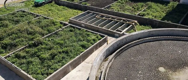 Cariati, sequestrati i fanghi di depurazione [FOTO]